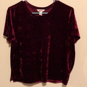 Velvet Crop Top